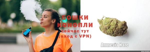 ГАЛЛЮЦИНОГЕННЫЕ ГРИБЫ Заволжье