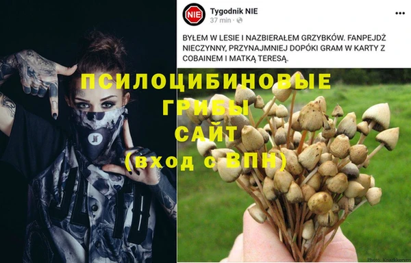 mdpv Нефтегорск