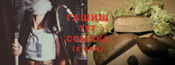 гашик Надым
